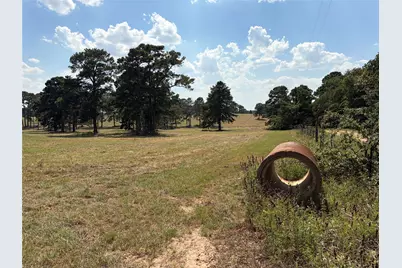 170 Split Oak Road, Smithville, TX 78957 - Photo 7