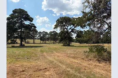 170 Split Oak Road, Smithville, TX 78957 - Photo 5