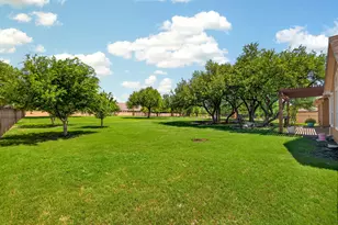 163 Estrella Crossing, Georgetown, TX 78628 - Photo 37