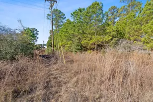 Lot 65 State Hwy 21, Bastrop, TX 78602 - Photo 13