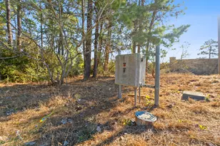 Lot 65 State Hwy 21, Bastrop, TX 78602 - Photo 11