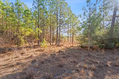 Lot 65 State Highway 21, Bastrop, TX 78602 - Photo 5