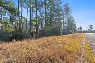 Lot 65 State Hwy 21, Bastrop, TX 78602 - Photo 9