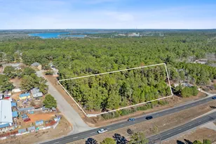 Lot 65 State Hwy 21, Bastrop, TX 78602 - Photo 13