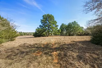 171 Mustang Drive, Paige, TX 78659 - Photo 37