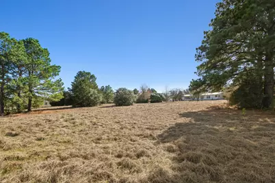 171 Mustang Drive, Paige, TX 78659 - Photo 31