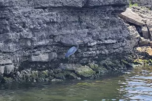 3404 American Dr, Lago Vista, TX 78645 - Photo 29