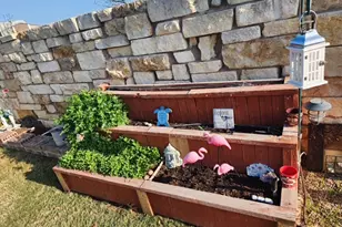 441 Mistflower Springs Dr, Leander, TX 78641 - Photo 27