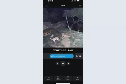 482 Dusty Saddle Drive, Canyon Lake, TX 78133 - Photo 23