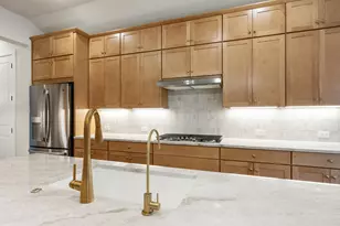 325 Knockout Rose Dr, San Marcos, TX 78666 - Photo 19