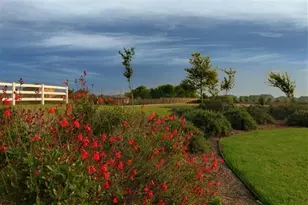 340 Witchhazel Way, San Marcos, TX 78666 - Photo 39