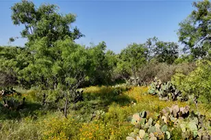 204 Lagitos Ln, Llano, TX 78643 - Photo 31