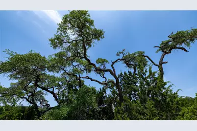 34705 Mayer Oaks, Bulverde, TX 78163 - Photo 9