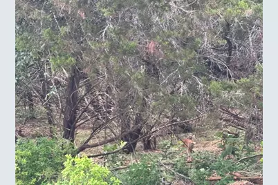 1684 Westview Court Drive, Canyon Lake, TX 78133 - Photo 7