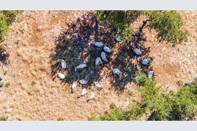 199 Flat Rock Way, Johnson City, TX 78636 - Photo 5