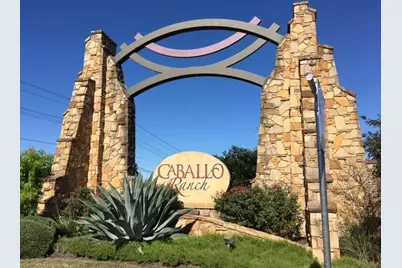 3008 Paseo De Charros, Cedar Park, TX 78641 - Photo 39