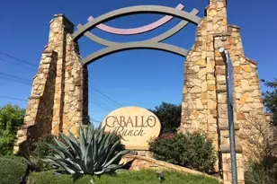 3008 Paseo de Charros, Cedar Park, TX 78641 - Photo 39