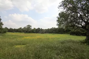 219 Young Ranch Rd, Georgetown, TX 78633 - Photo 39