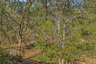 3908 Holt Dr, Austin, TX 78749 - Photo 21