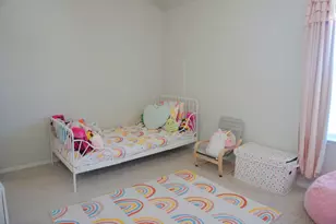 153 Blue Agate Ct, Jarrell, TX 76537 - Photo 13