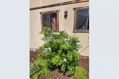 200 Little Barton Drive, Dripping Springs, TX 78620 - Photo 11