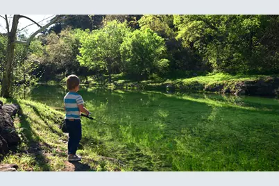 11953 Overlook Pass, Austin, TX 78738 - Photo 5