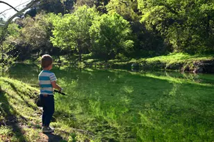 11953 Overlook Pass, Austin, TX 78738 - Photo 5