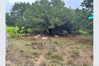 2907 Ticonderoga Cove, Lago Vista, TX 78645 - Photo 9