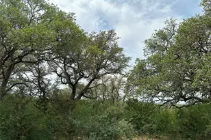 Unk 114Ac Cr 330, Bertram, TX 78605 - Photo 15