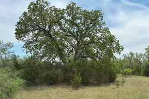 Unk 114Ac Cr 330, Bertram, TX 78605 - Photo 5