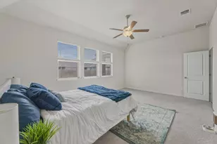 3544 De Soto Loop, Round Rock, TX 78665 - Photo 25