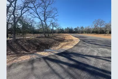 152 Canyon Loop, Cedar Creek, TX 78612 - Photo 3