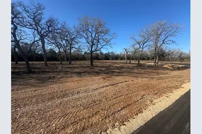 152 Canyon Loop, Cedar Creek, TX 78612 - Photo 5