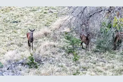 405 Heartleaf Drive, Lampasas, TX 76550 - Photo 7