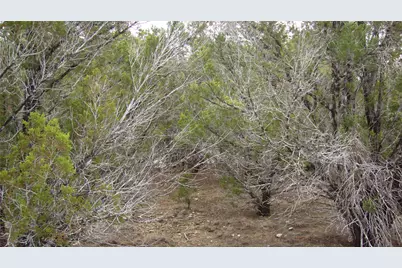 7700 Bar-K Ranch Road, Lago Vista, TX 78645 - Photo 7