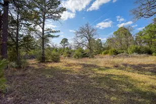 552 S Old Potato Rd, Paige, TX 78659 - Photo 39