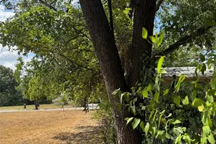 400 W Odell St, Austin, TX 78752 - Photo 5