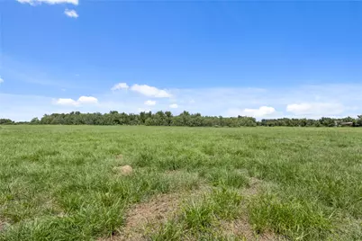 451 Pleasant Grove Road, Elgin, TX 78621 - Photo 21