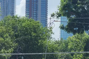 85 W Navasota St, Austin, TX 78702 - Photo 17