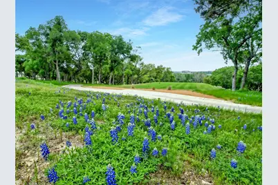 107 Garner Cove, Georgetown, TX 78633 - Photo 31