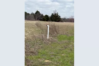 1500 County Road 481, Thrall, TX 76578 - Photo 11