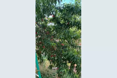 20638 Highland Lake Drive, Lago Vista, TX 78645 - Photo 25