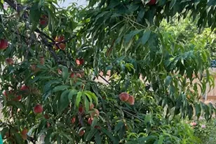 20638 Highland Lake Dr, Lago Vista, TX 78645 - Photo 25