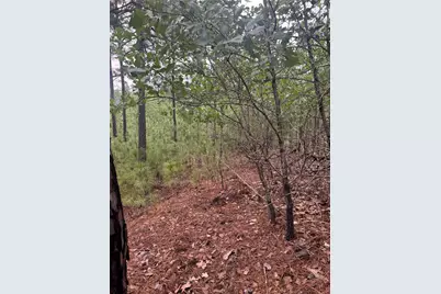 Lot 1490 Haleakala, Bastrop, TX 78602 - Photo 5