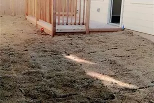 2018 Crimson Rosella Trl, Austin, TX 78728 - Photo 21