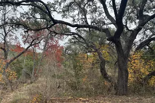 Lot 100 Montana Creek Crossing, Marble Falls, TX 78654 - Photo 3