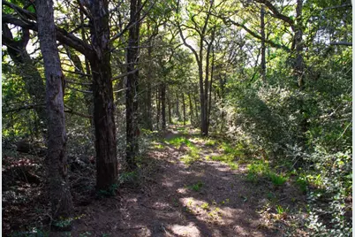 490 John Craft Road, Red Rock, TX 78662 - Photo 37