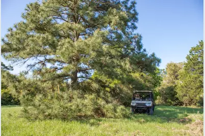 490 John Craft Road, Red Rock, TX 78662 - Photo 31