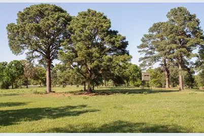 490 John Craft Road, Red Rock, TX 78662 - Photo 7