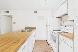 910 Duncan Ln, Austin, TX 78705 - Photo 19